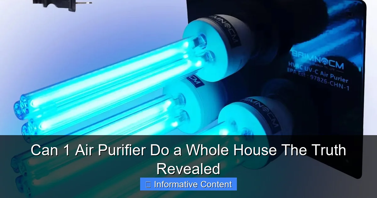 Can 1 Air Purifier Do a Whole House The Truth Revealed