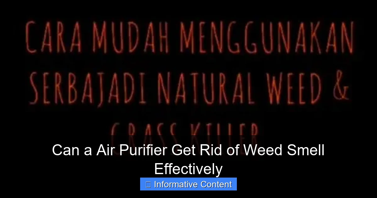 Can a Air Purifier Get Rid of Weed Smell Effectively