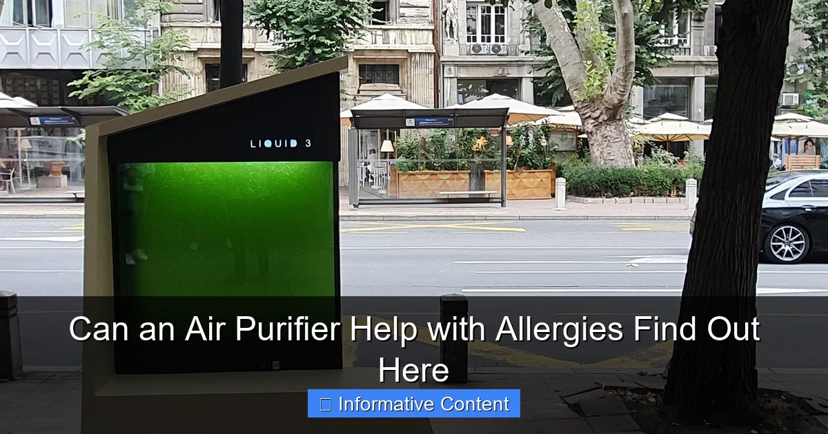 Can an Air Purifier Help with Allergies Find Out Here