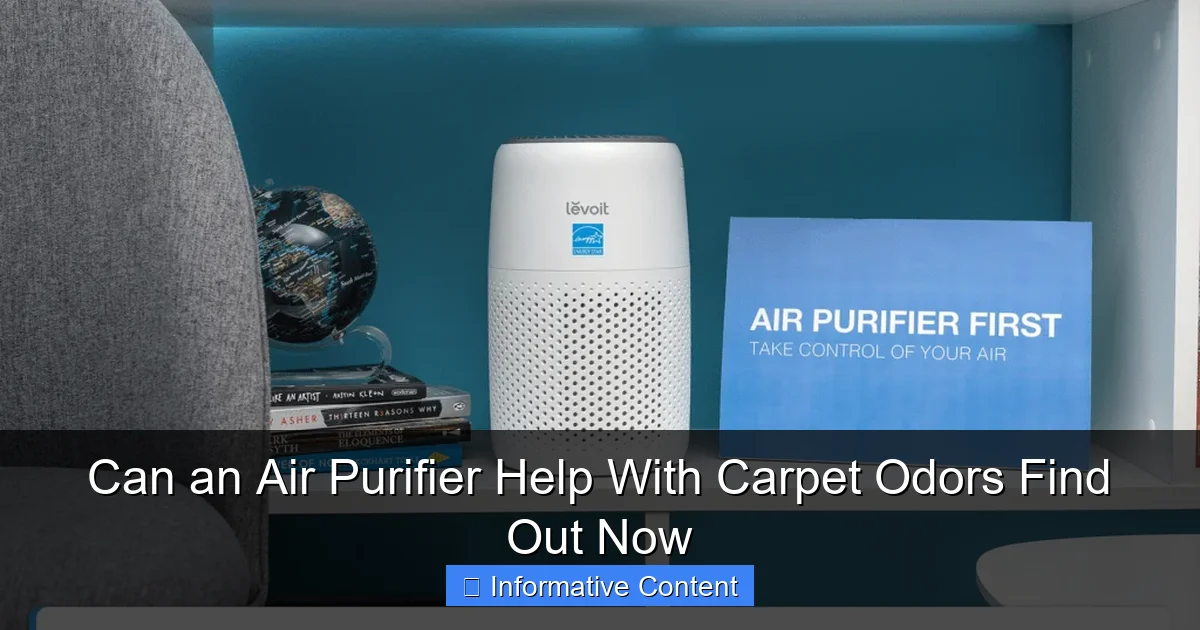 Can an Air Purifier Help With Carpet Odors Find Out Now