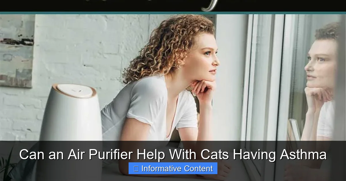 Can an Air Purifier Help With Cats Having Asthma