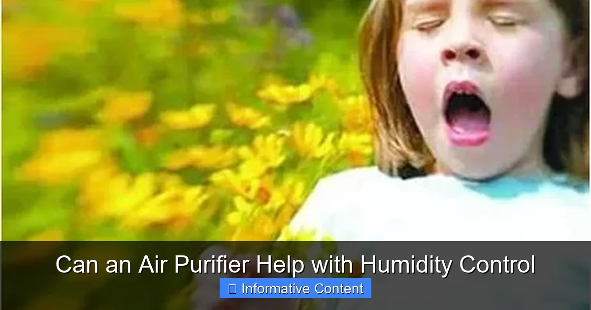 Can an Air Purifier Help with Humidity Control