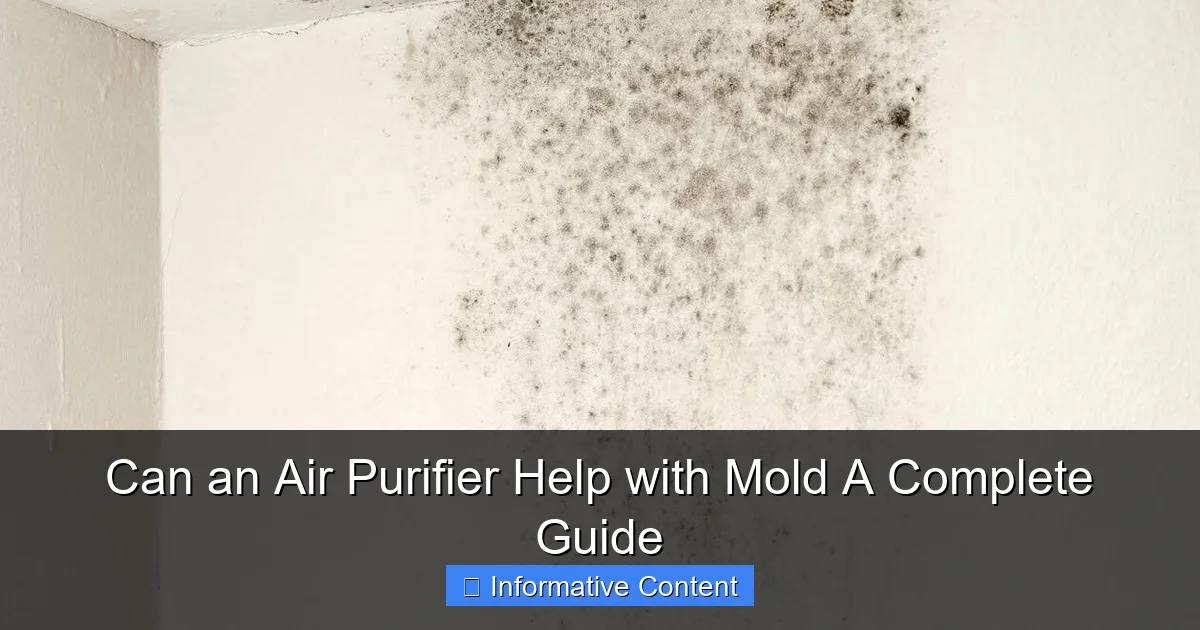 Can an Air Purifier Help with Mold A Complete Guide