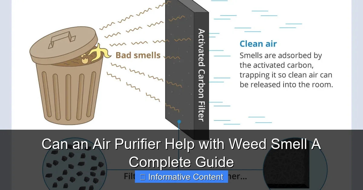 Can an Air Purifier Help with Weed Smell A Complete Guide