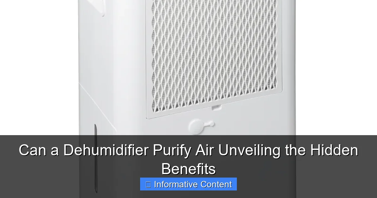 Can a Dehumidifier Purify Air Unveiling the Hidden Benefits