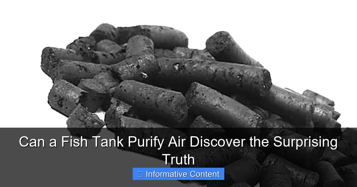 Can a Fish Tank Purify Air Discover the Surprising Truth
