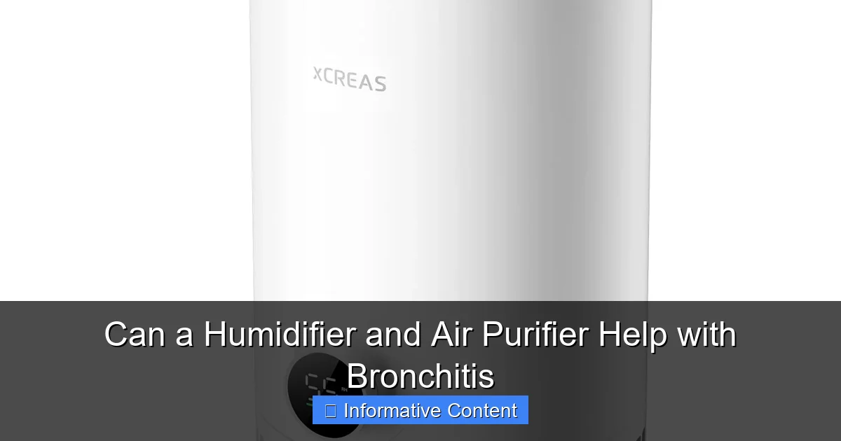 Can a Humidifier and Air Purifier Help with Bronchitis