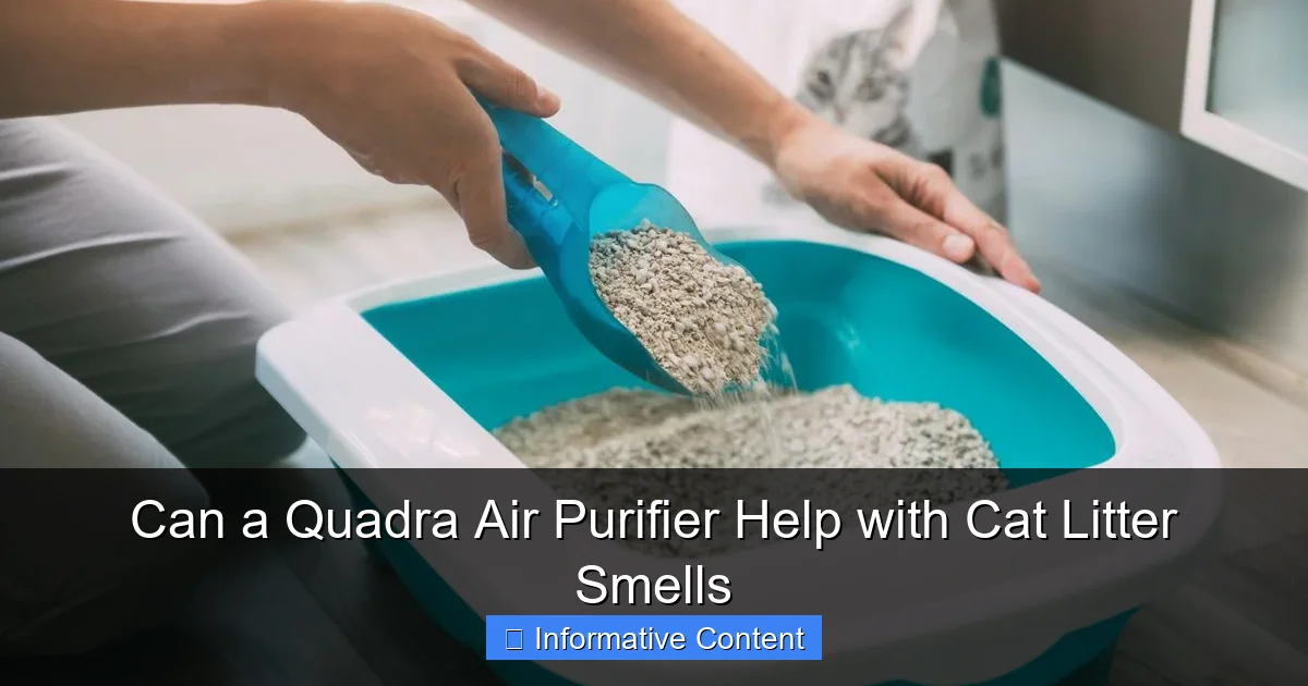 Can a Quadra Air Purifier Help with Cat Litter Smells