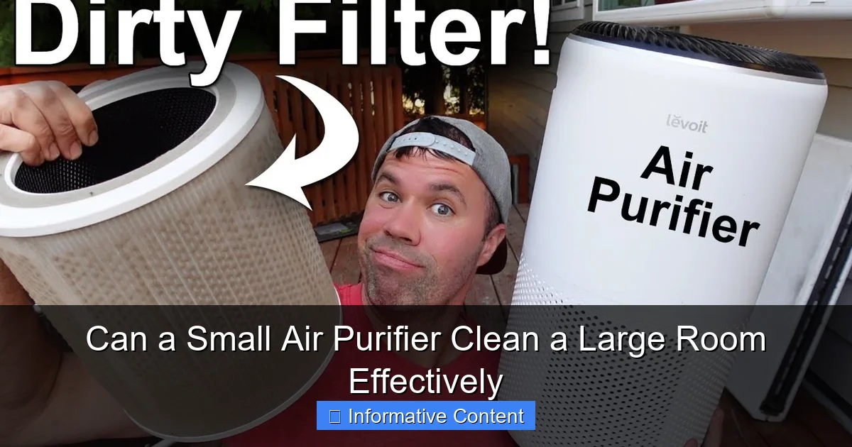 Can a Small Air Purifier Clean a Large Room Effectively