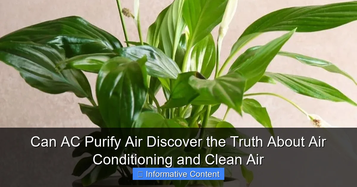 Can AC Purify Air Discover the Truth About Air Conditioning and Clean Air