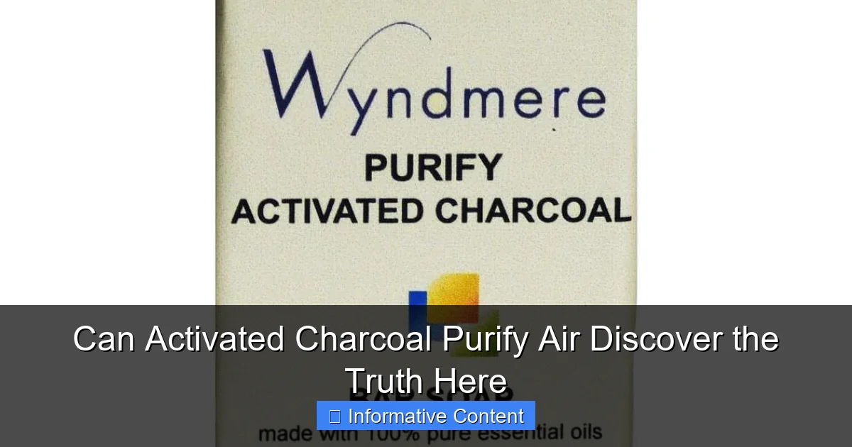 Can Activated Charcoal Purify Air Discover the Truth Here