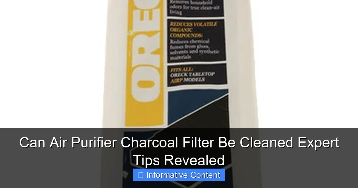Can Air Purifier Charcoal Filter Be Cleaned Expert Tips Revealed