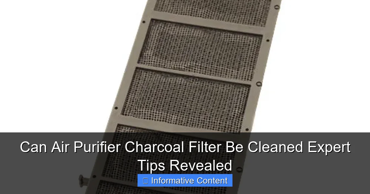 Can Air Purifier Charcoal Filter Be Cleaned Expert Tips Revealed