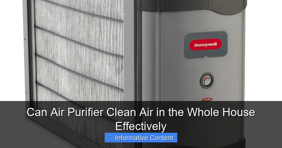Can Air Purifier Clean Air in the Whole House Effectively