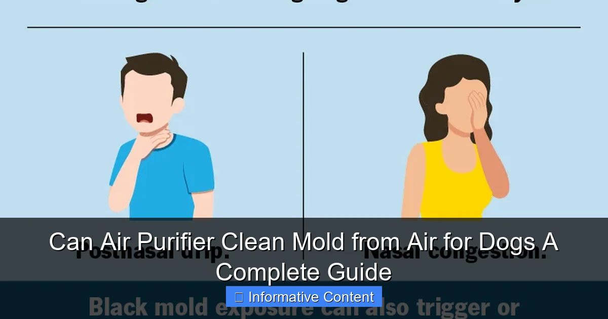 Can Air Purifier Clean Mold from Air for Dogs A Complete Guide