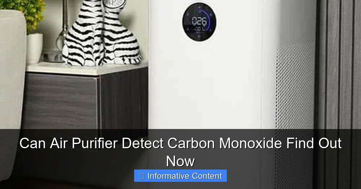 Can Air Purifier Detect Carbon Monoxide Find Out Now