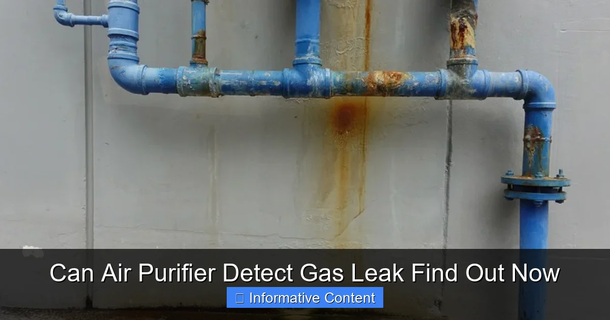 Can Air Purifier Detect Gas Leak Find Out Now