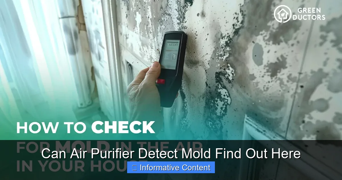 Can Air Purifier Detect Mold Find Out Here