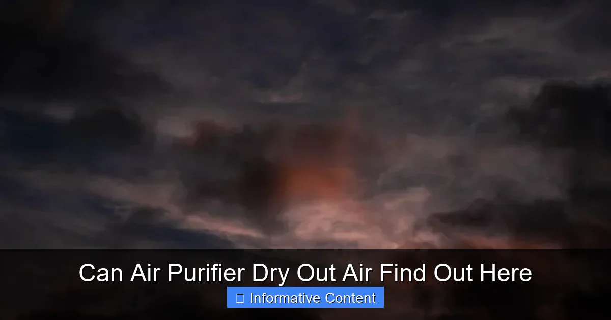 Can Air Purifier Dry Out Air Find Out Here