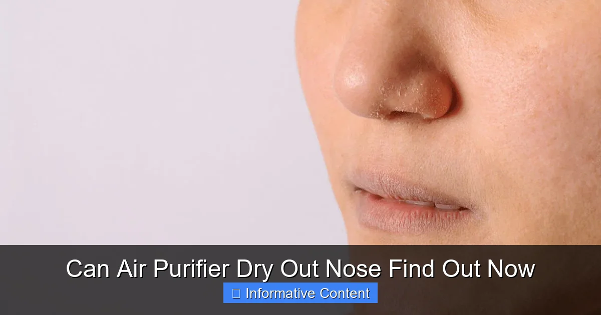 Can Air Purifier Dry Out Nose Find Out Now