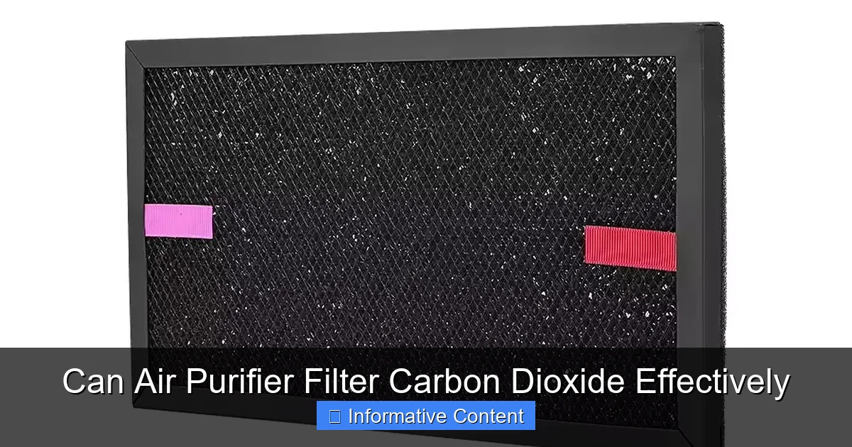 Can Air Purifier Filter Carbon Dioxide Effectively