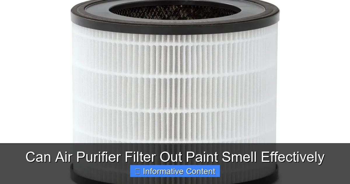 Can Air Purifier Filter Out Paint Smell Effectively