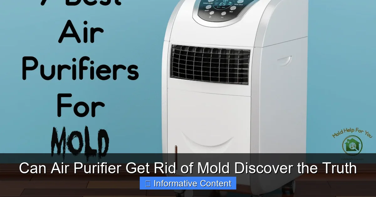 Can Air Purifier Get Rid of Mold Discover the Truth