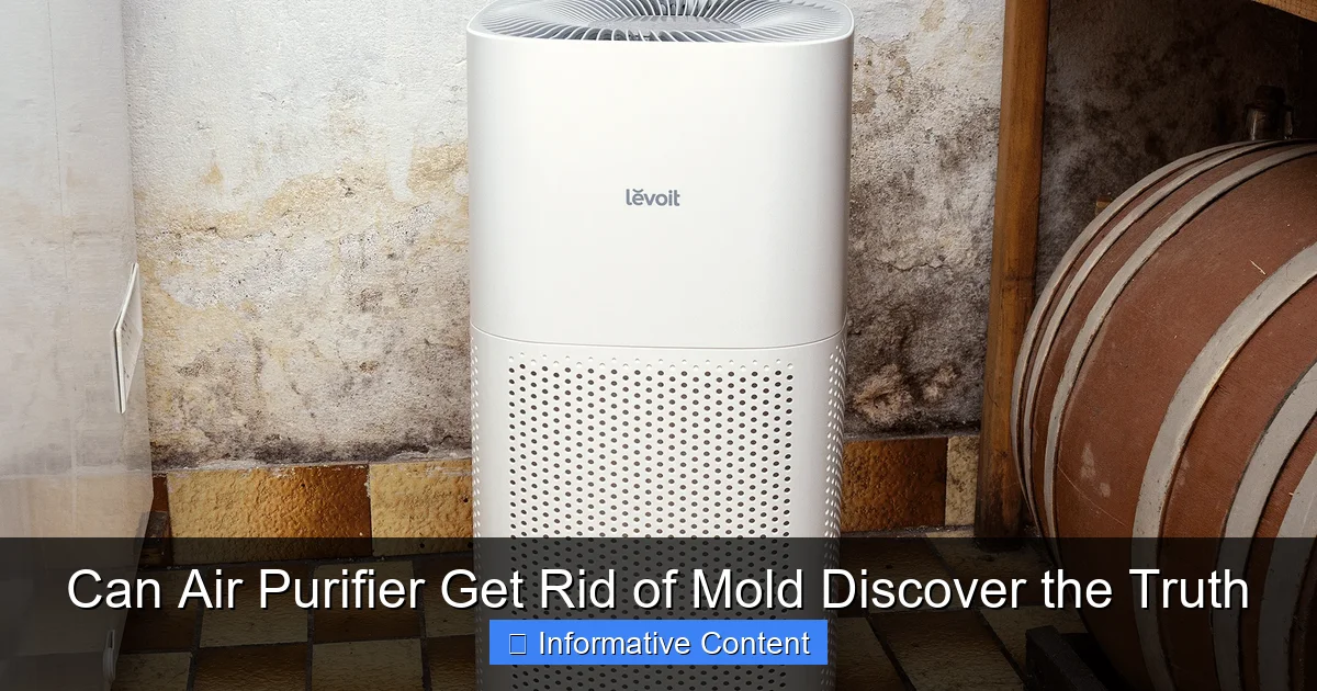 Can Air Purifier Get Rid of Mold Discover the Truth