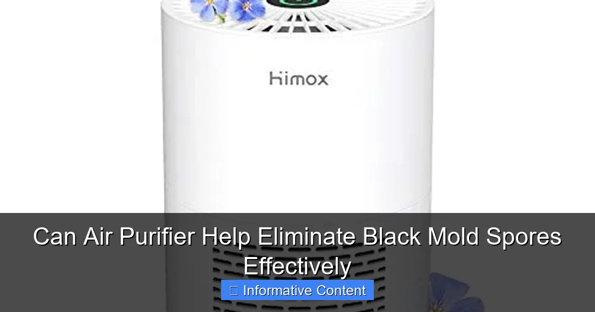 Can Air Purifier Help Eliminate Black Mold Spores Effectively