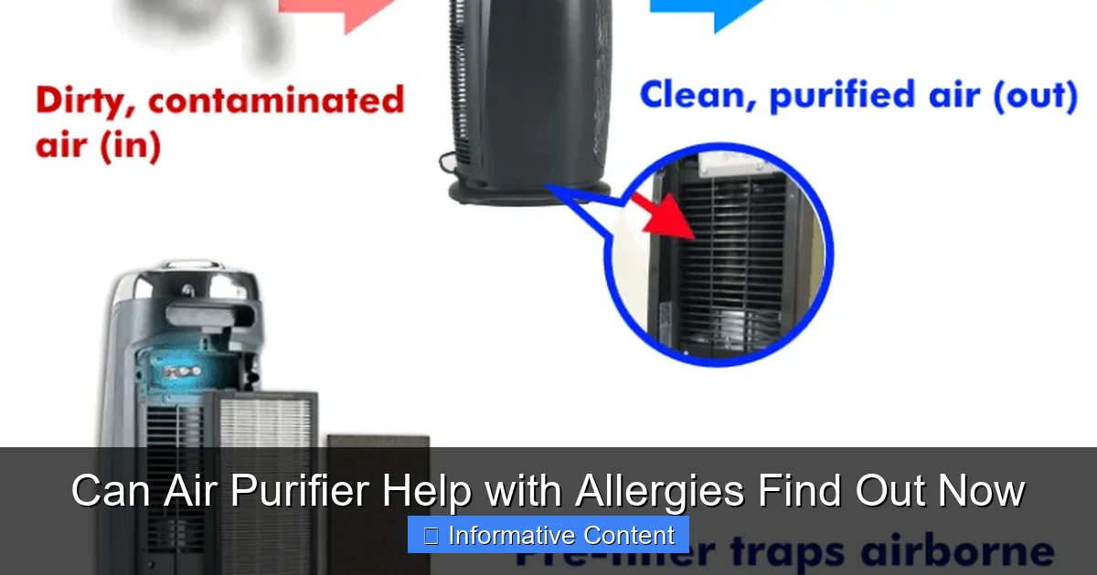 Can Air Purifier Help with Allergies Find Out Now