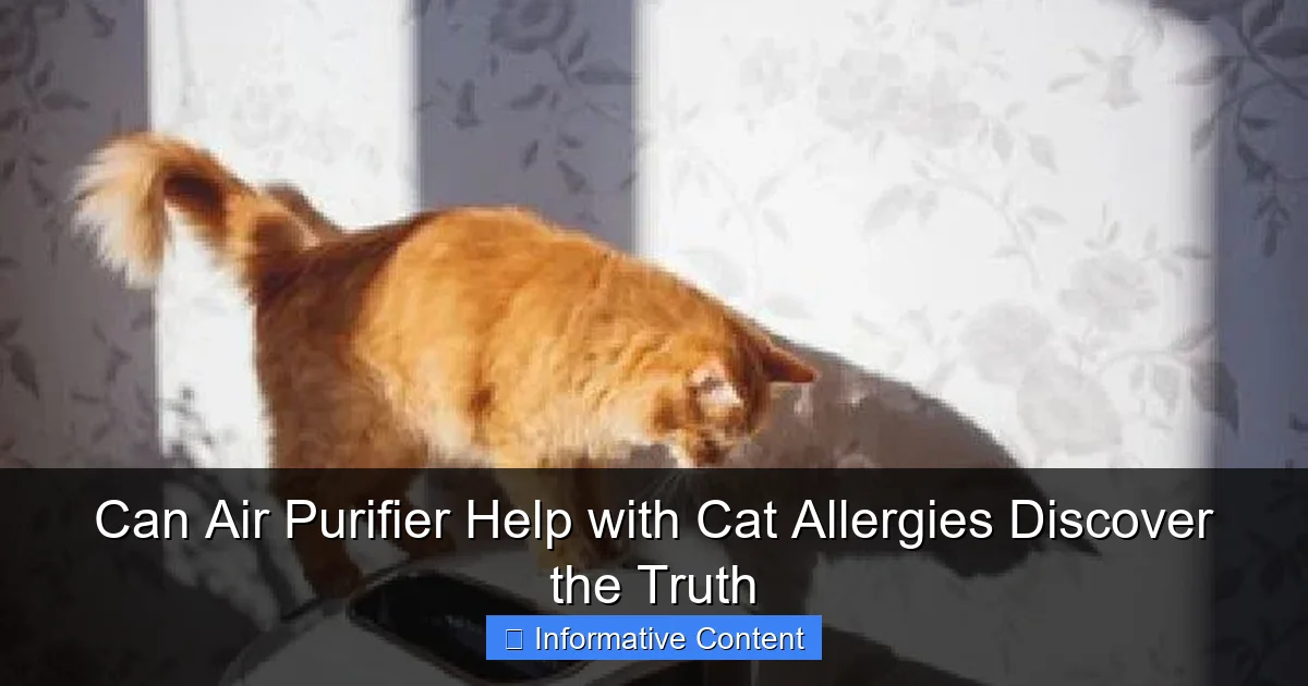 Can Air Purifier Help with Cat Allergies Discover the Truth