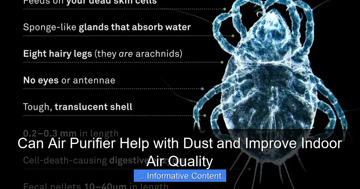Can Air Purifier Help with Dust and Improve Indoor Air Quality