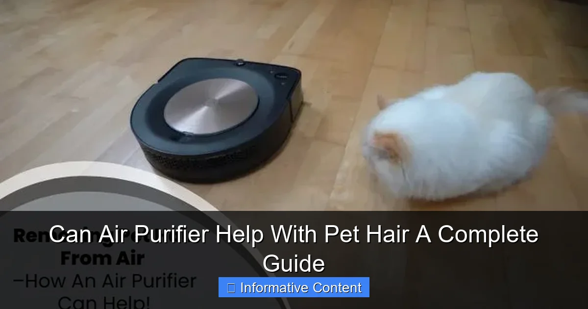 Can Air Purifier Help With Pet Hair A Complete Guide