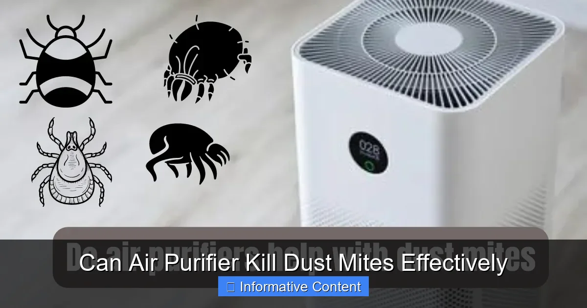 Can Air Purifier Kill Dust Mites Effectively