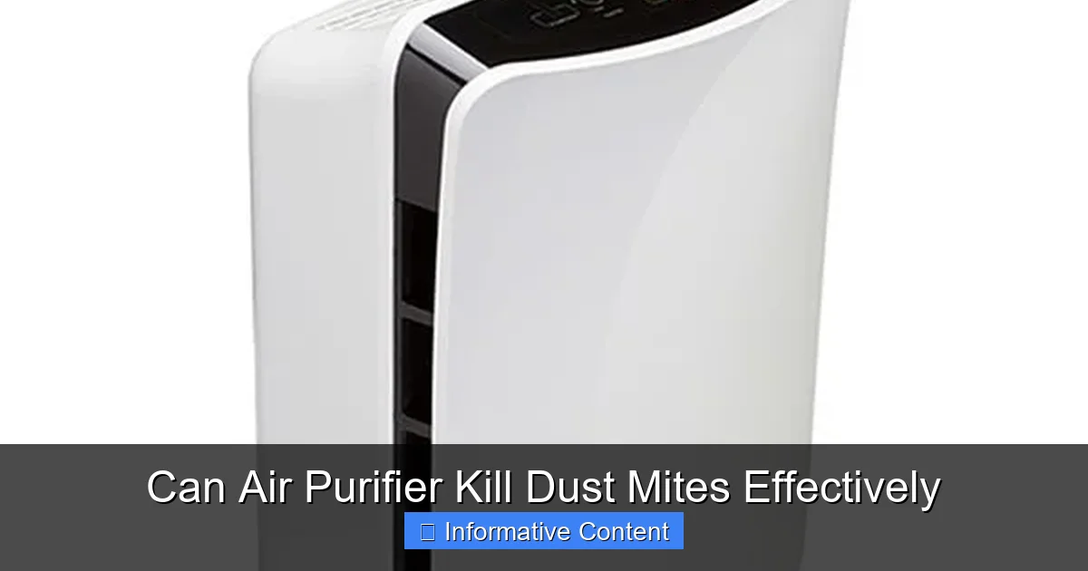 Can Air Purifier Kill Dust Mites Effectively