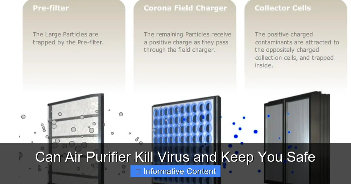 Can Air Purifier Kill Virus and Keep You Safe