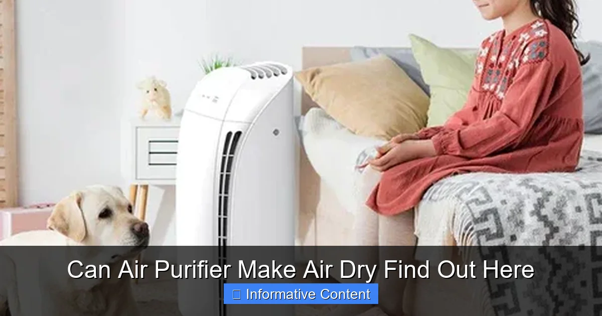 Can Air Purifier Make Air Dry Find Out Here