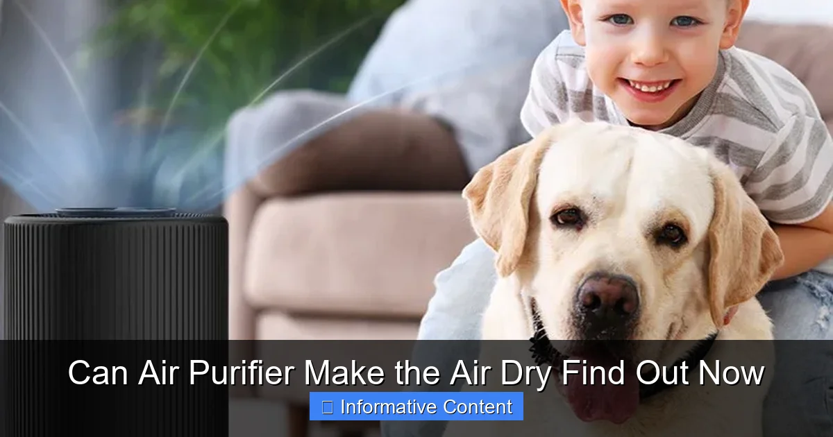 Can Air Purifier Make the Air Dry Find Out Now