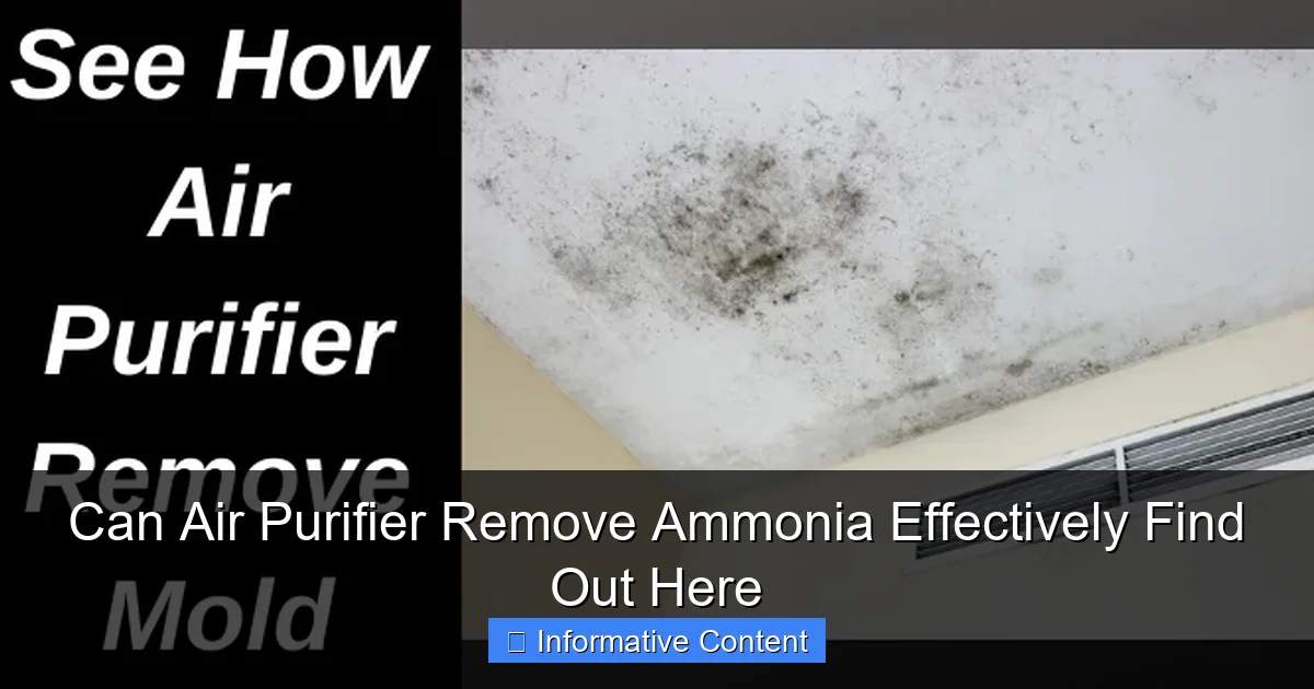Can Air Purifier Remove Ammonia Effectively Find Out Here