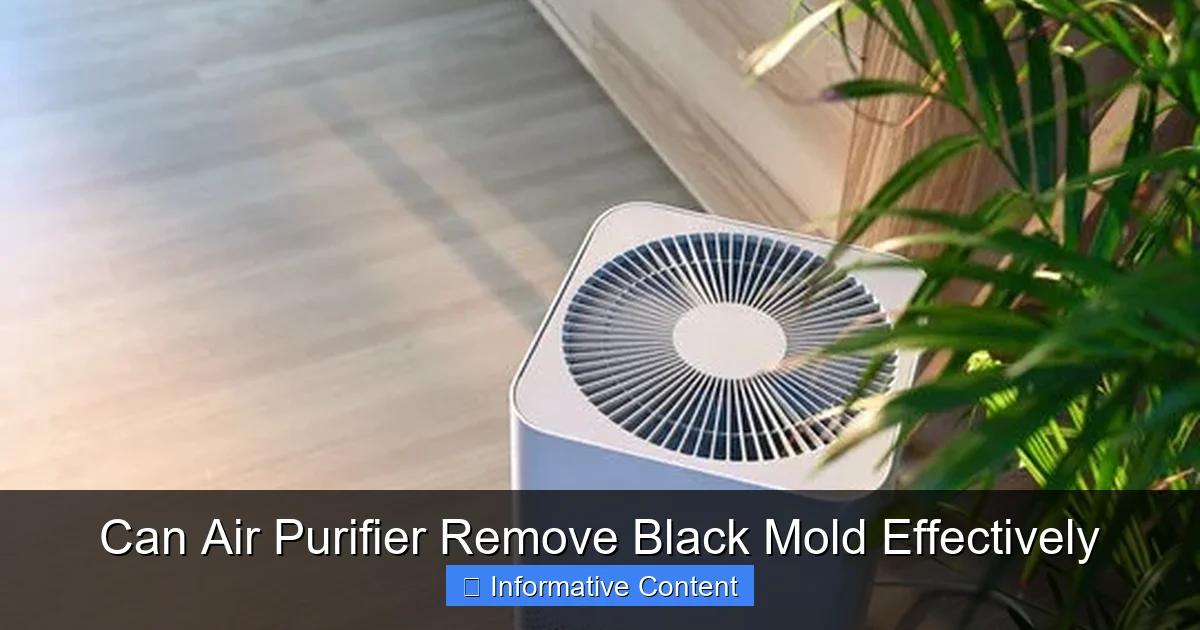 Can Air Purifier Remove Black Mold Effectively