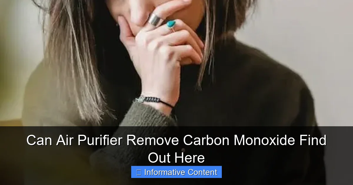 Can Air Purifier Remove Carbon Monoxide Find Out Here