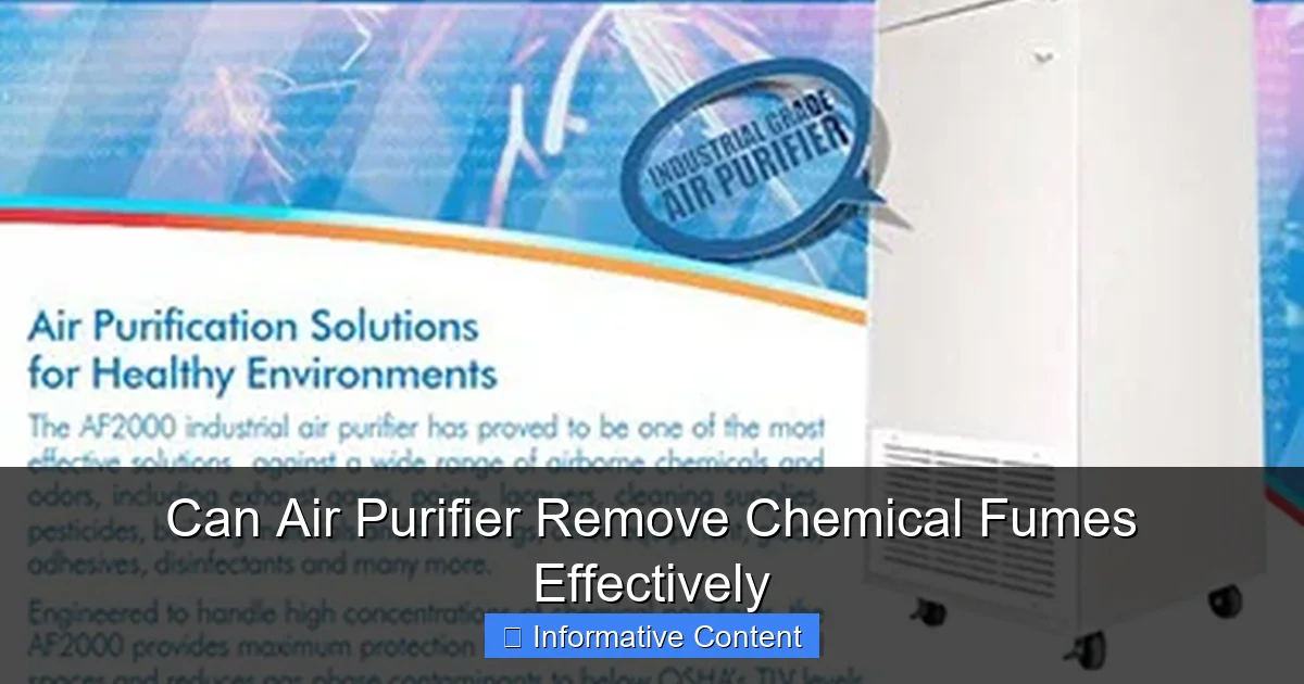 Can Air Purifier Remove Chemical Fumes Effectively