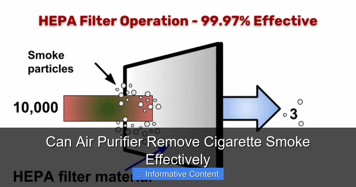 Can Air Purifier Remove Cigarette Smoke Effectively