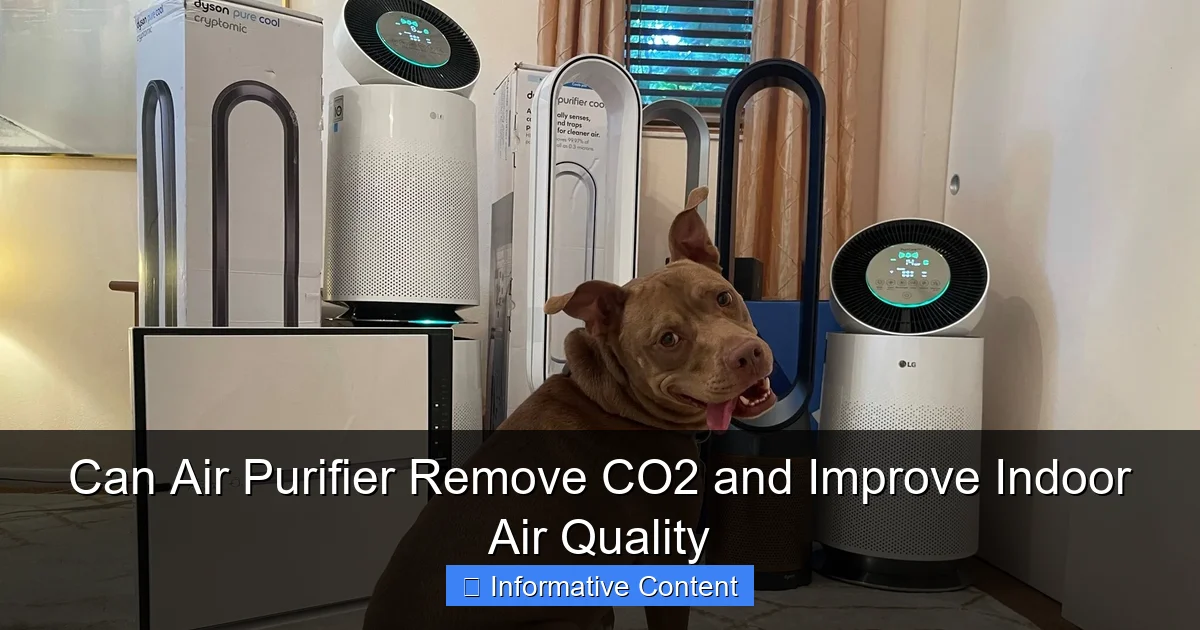 Can Air Purifier Remove CO2 and Improve Indoor Air Quality