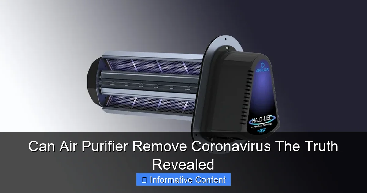 Can Air Purifier Remove Coronavirus The Truth Revealed