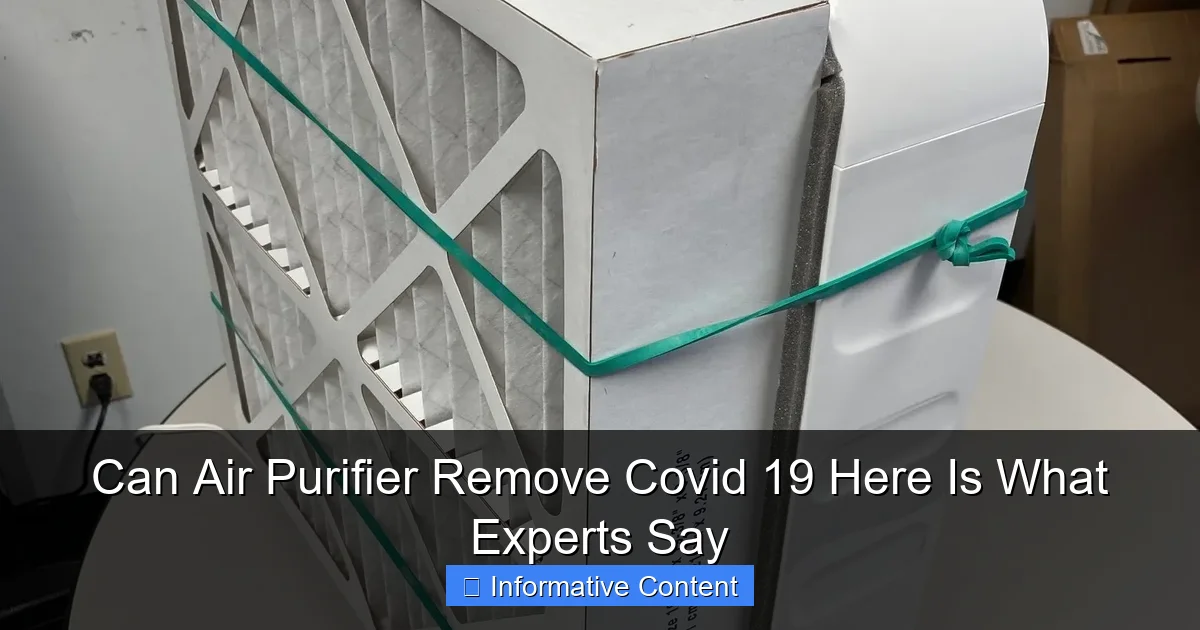 Can Air Purifier Remove Covid 19 Here Is What Experts Say