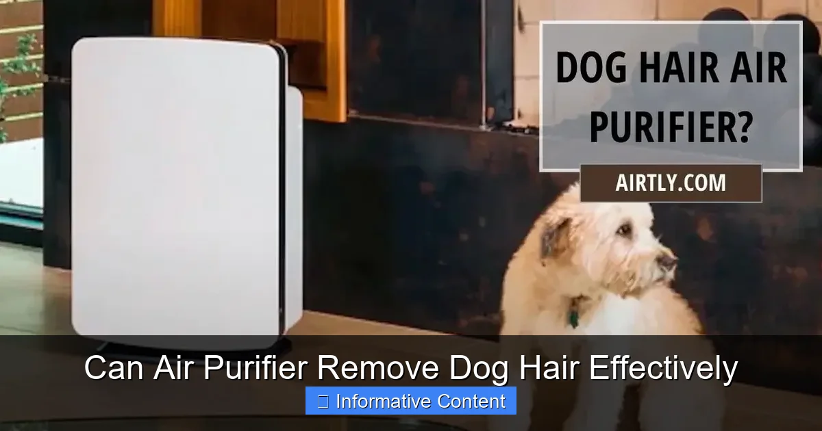 Can Air Purifier Remove Dog Hair Effectively