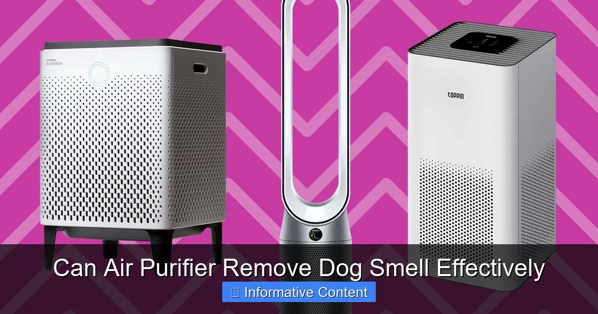 Can Air Purifier Remove Dog Smell Effectively