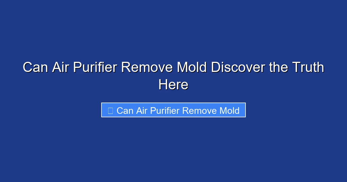 Can Air Purifier Remove Mold Discover the Truth Here