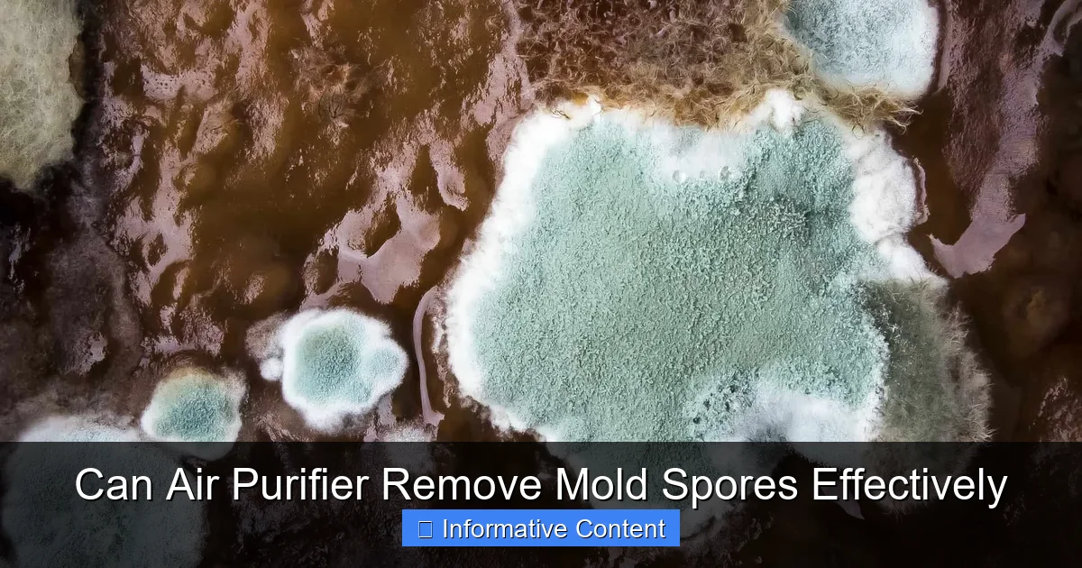 Can Air Purifier Remove Mold Spores Effectively